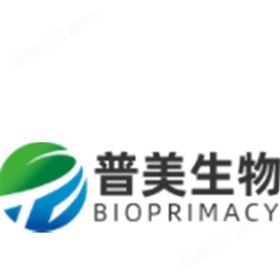 彩色预染蛋白 Marker（Western Blot）